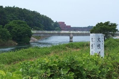 写真：休日