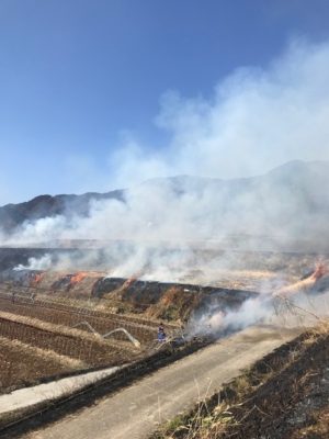 写真：野焼