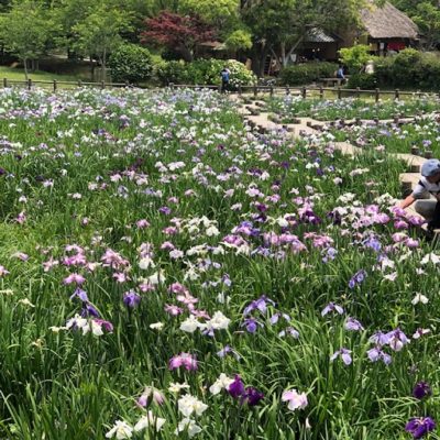 写真：季節を感じて