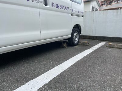 写真：乗車前は気を付けてください！