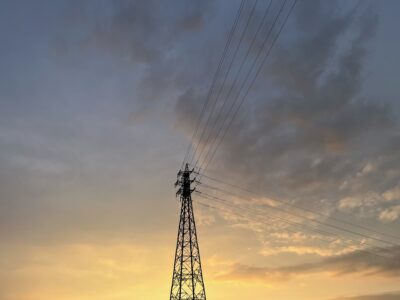 写真：本格的な夏