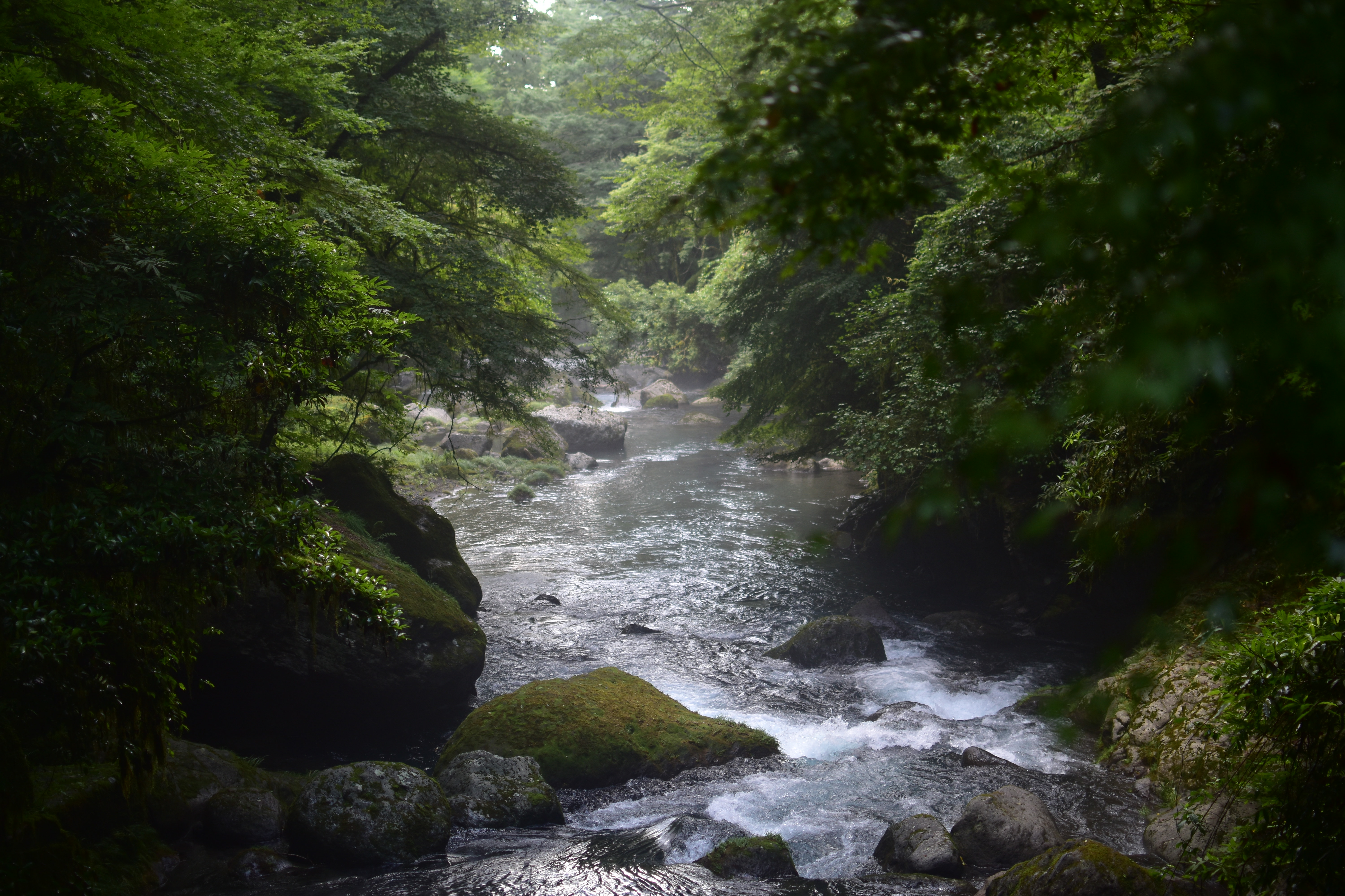 菊池渓谷